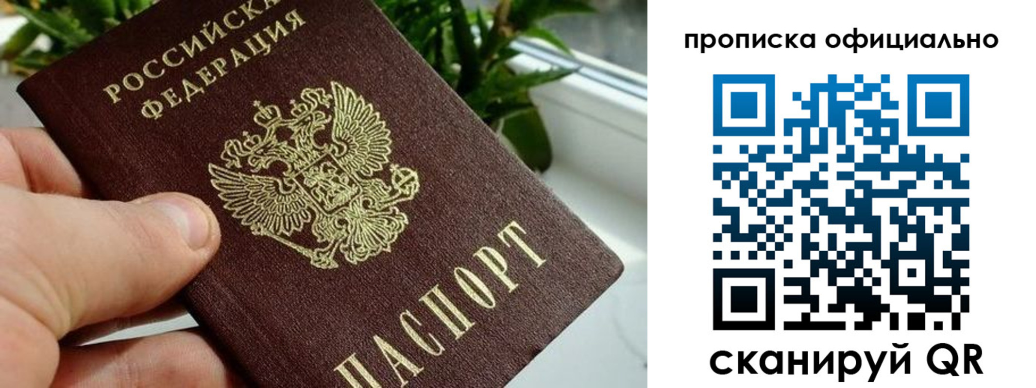 прописка поиск в Карабулаке